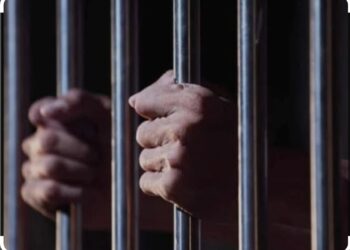 अट्टल गुन्हेगाराची MPDA अंतर्गत एक वर्षासाठी कारागृहात रवानगी 6 image editor output image 2090130064 1706797416334