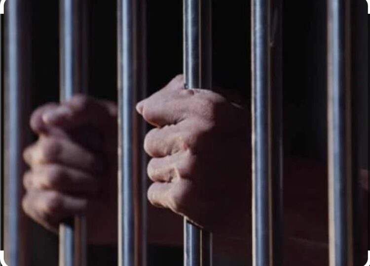 image editor output image 2090130064 1706797416334