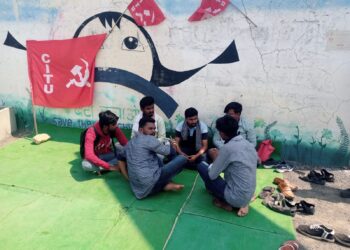 image editor output image 2010303820 1709734958782