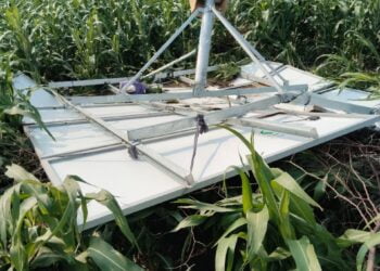 image editor output image1162262684 1710950585717