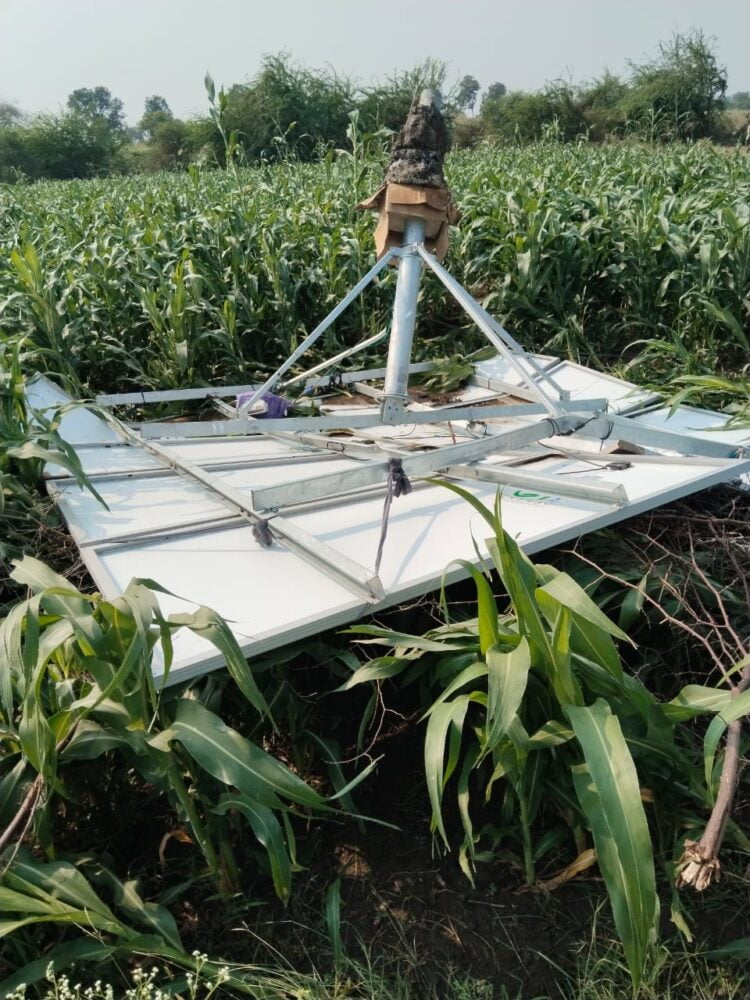 image editor output image1162262684 1710950585717