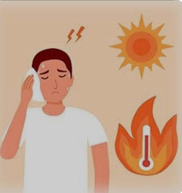 जिल्ह्यात काही ठिकाणी उष्णतेच्या लाटेची शक्यता नागरिकांनी काळजी घेण्याचे आवाहन 1 image editor output image1255676654 1714495526272