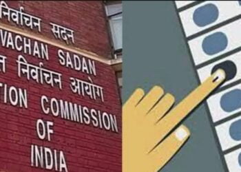 image editor output image1327829740 1712060006246