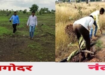 Picsart 24 05 06 15 30 41 931