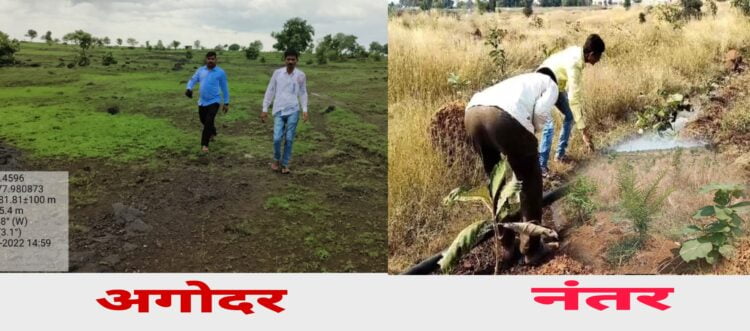 42 डिग्री तापमानातही मंगरूळ माळरानावर डोलत आहेत हिरवीगार रोपे….👉🏻हिमायतनगर वन विभागाचा स्तुत्य उपक्रम… 1 Picsart 24 05 06 15 30 41 931