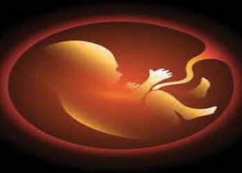 image editor output image 929460788 1715521117088