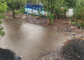 image editor output image1473366012 1715520982415