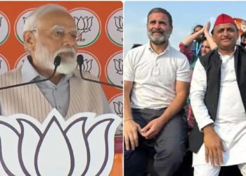 image editor output image635782728 1717052952470