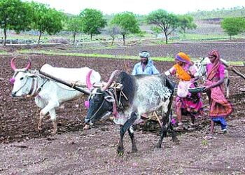 image editor output image663755726 1715960931438