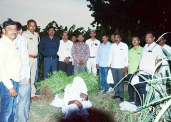 image editor output image678232077 1715961504806