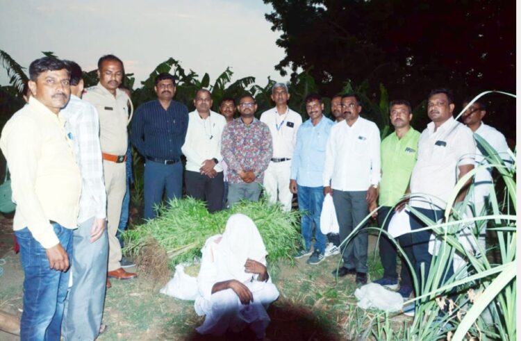 स्थानिक गुन्हे शाखेकडुन 58,970/- रुपयाचा 9 किलो 772 ग्राम गांजा जप्त, एक आरोपी ताब्यात स्थानिक गुन्हे शाखा, नांदेडची कार्यवाही 1 image editor output image678232077 1715961504806