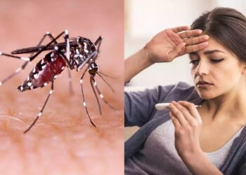 image editor output image914291070 1715691115906