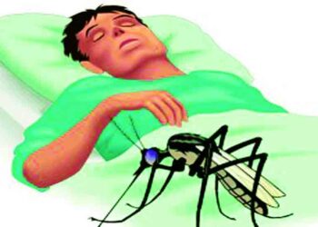 हिवताप टाळण्यासाठी आठवड्यातून एक दिवस कोरडा दिवस पाळण्याचे आवाहन 5 image editor output image261318256 1718288283905