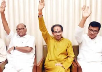 image editor output image965679612 1718621564809