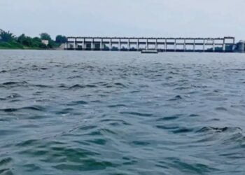 image editor output image 1800263545 1720781941597