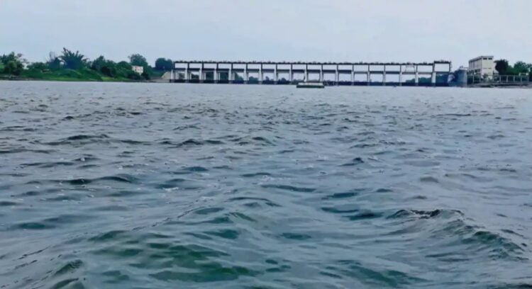 image editor output image 1800263545 1720781941597