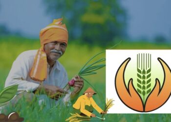 image editor output image 311243665 1720113531246