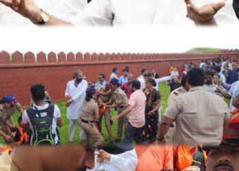 image editor output image 1962298634 1724847011727