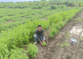 image editor output image 788751268 1725113211846