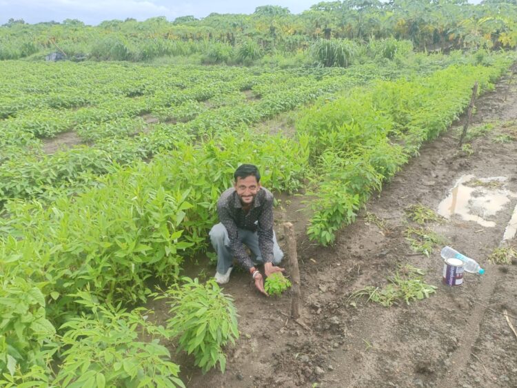 image editor output image 788751268 1725113211846