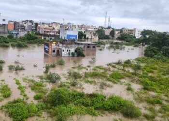 image editor output image 383624679 1725186496159