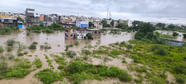 हिमायतनगर शहराला पावसाच्या पाण्याने घातला वेढ असंख्य गावचा हिमायतनगर शी संपर्क तुटला नदी नाल्यांना आला पुर 1 image editor output image 383624679 1725186496159