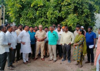 image editor output image 574727076 1726133509203