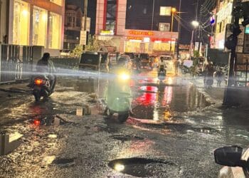 image editor output image 787181165 1727529902487