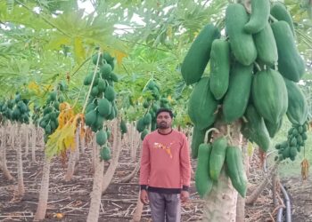 image editor output image 788104686 1727529691203