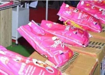 image editor output image2037652096 1727672704461