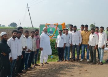 image editor output image798468933 1728982862980