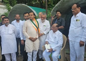 image editor output image128733791 1731558649814