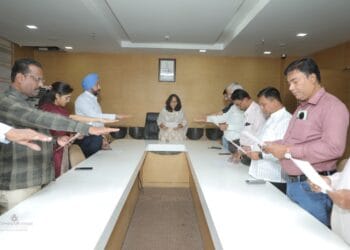 image editor output image225349504 1732717062454