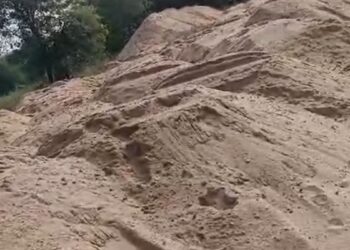 image editor output image 180679074 1735356262624