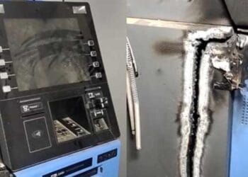 image editor output image 311111072 1733136793476