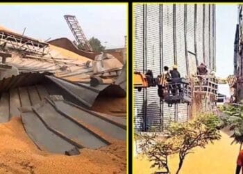 image editor output image 335122618 1733119304619