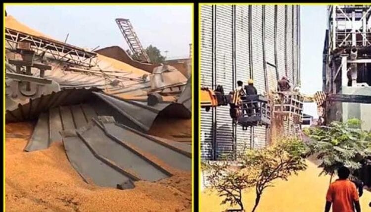 image editor output image 335122618 1733119304619