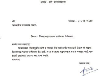 image editor output image 462358295 1733060278849