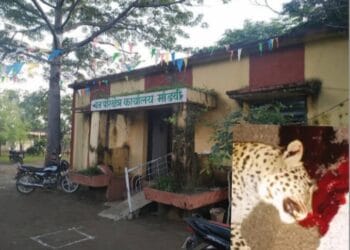 image editor output image 927469758 1734867893015