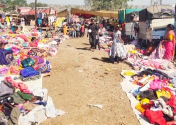 image editor output image 731533532 1735994474389