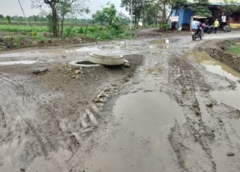 image editor output image485537440 1748347289974