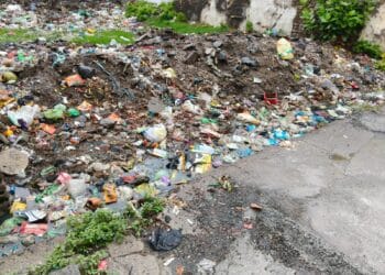 image editor output image95518720 1748094163895