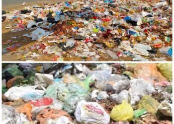 image editor output image 538055332 1749623271090