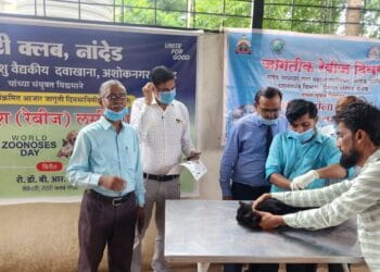 image editor output image403432053 1752074912926