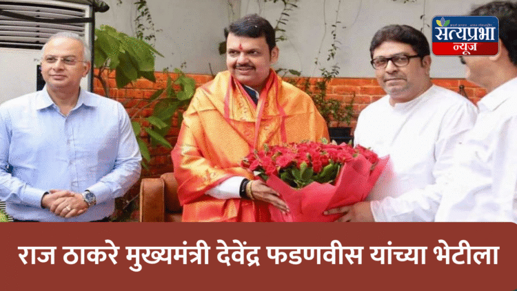 Raj Thackeray Meet Devendra Fadnavis