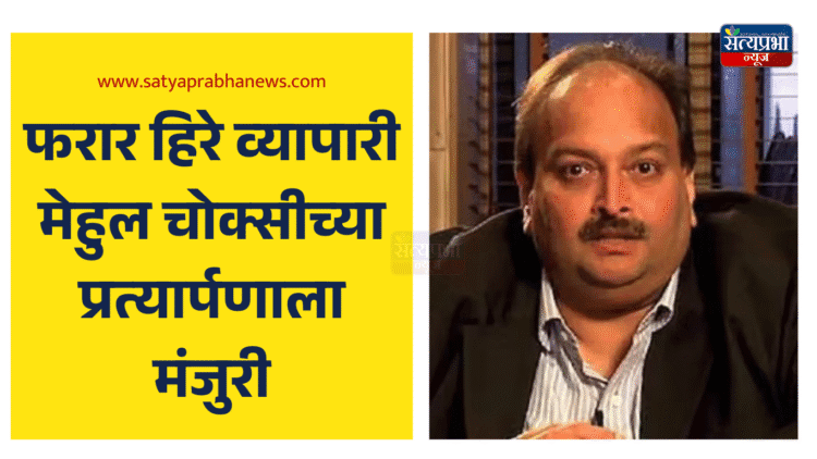 mehul choksi
