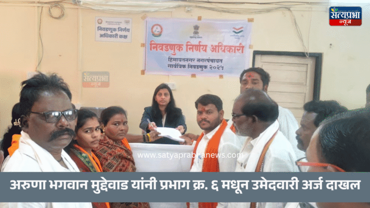 Himayatnagar Nagar Panchayat Election