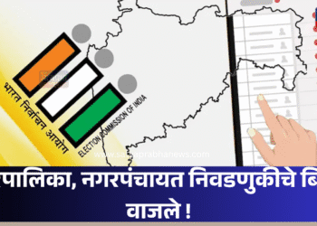 Nagar Panchayat election