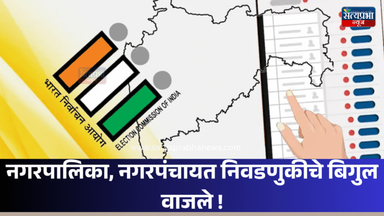 Nagar Panchayat election