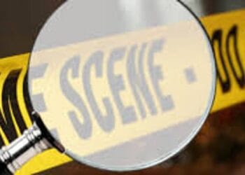 image editor output image 1272487975 1771612330609